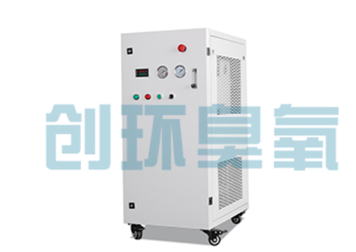 桥西石斑鱼养殖水质调控完整指南：臭氧发生器配置与操作步骤