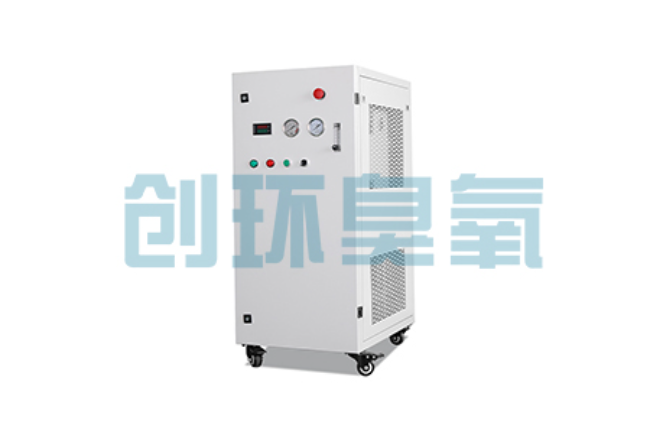 桥西比传统换水更高效？臭氧发生器在石斑鱼养殖中的水质净化原理解析