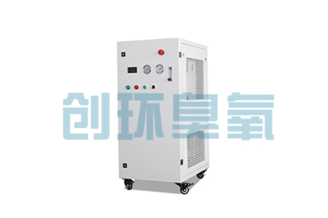 桥西比传统换水更高效？臭氧发生器在石斑鱼养殖中的水质净化原理解析